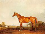 John Ferneley Snr Canvas Paintings - A Golden Chestnut Hunter in a Landscape